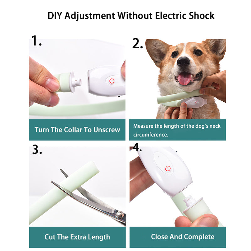 Bright LED Pet Collar Rechargeable USB for Safer Night Adventures